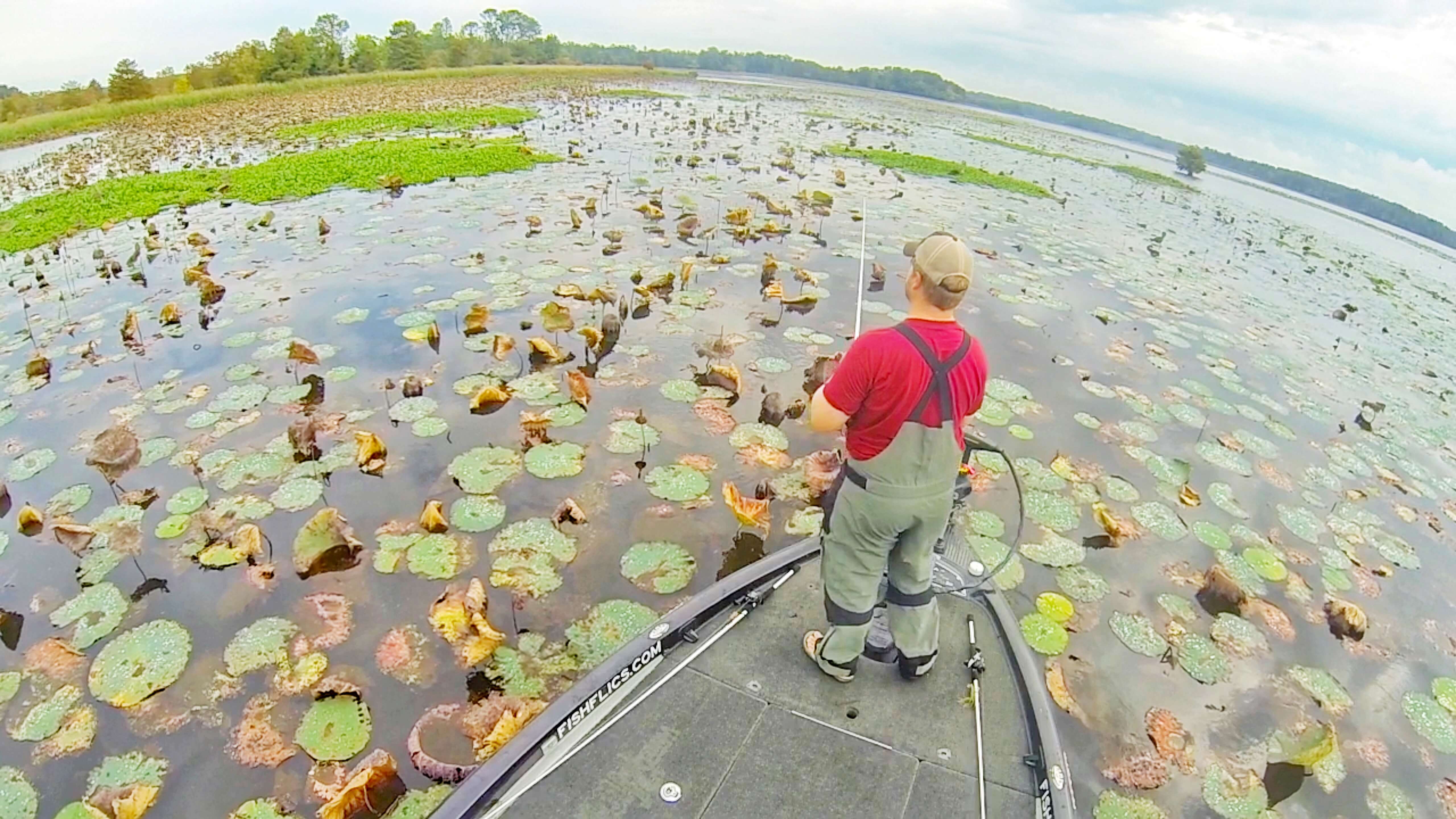 Fishing Bass in Lily Pads with Shaye Baker