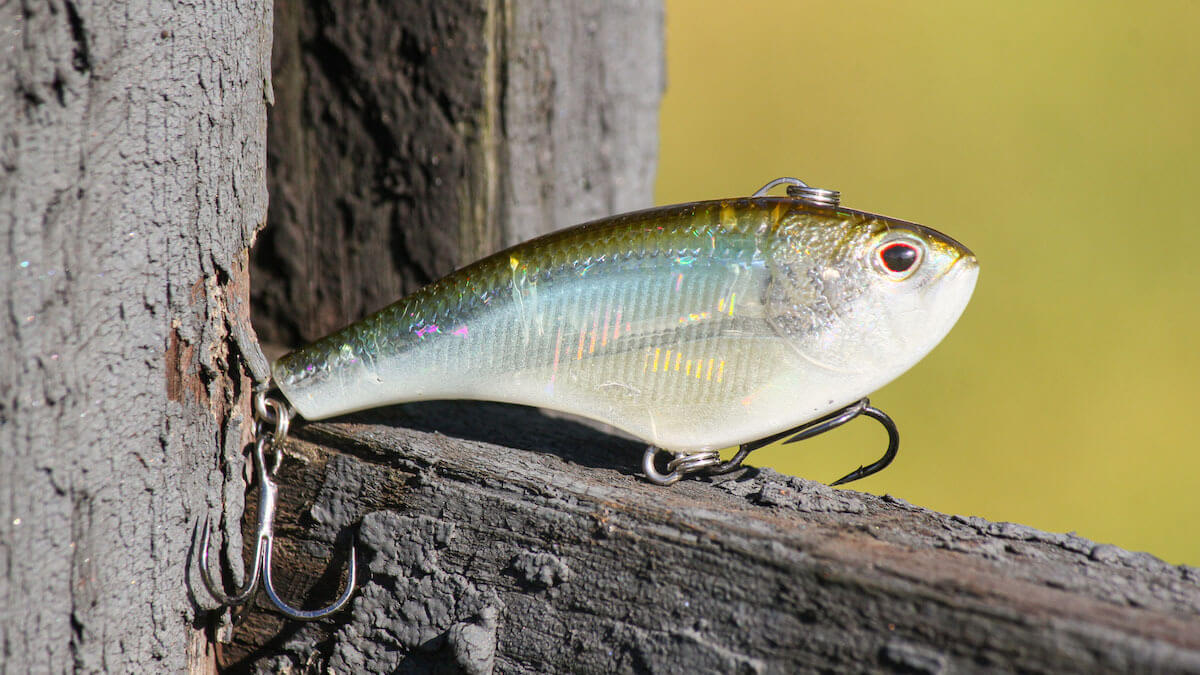 Fall Fishing with a Lipless Crankbait