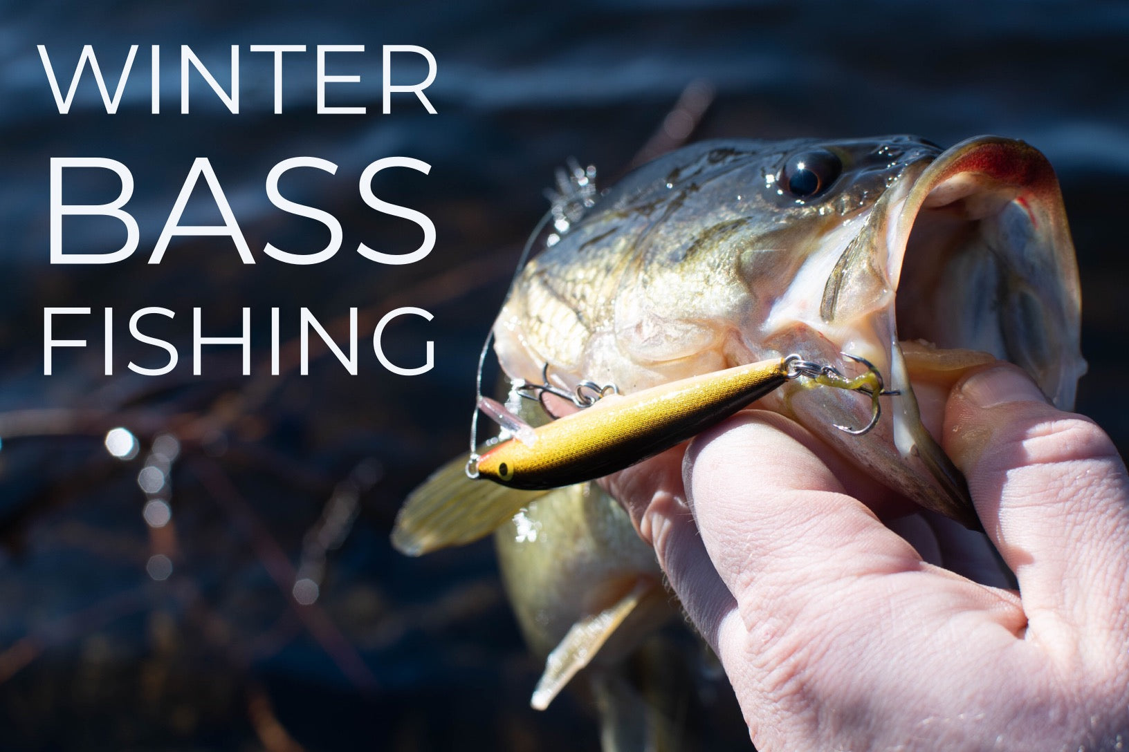 Best December Bass Fishing Lures