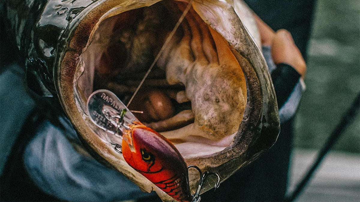 4 Winter Crankbait Mistakes Most Bass Anglers Make
